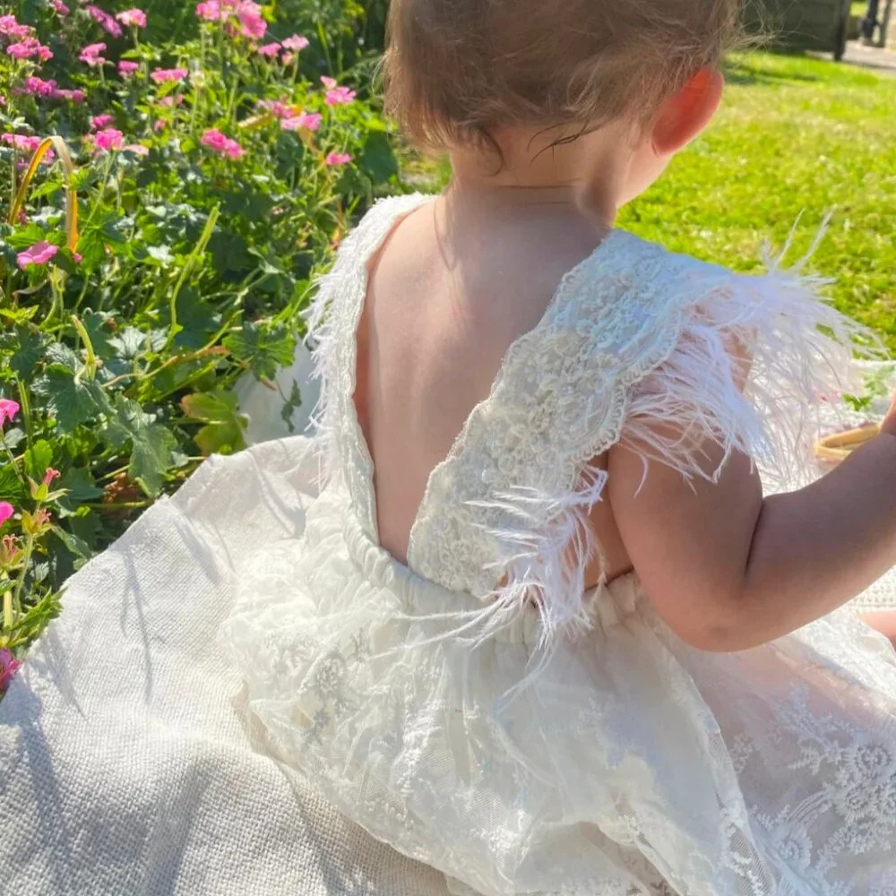 The Very Hungry Caterpillar Dress Lace Birthday Outfit Clothes Dress romper